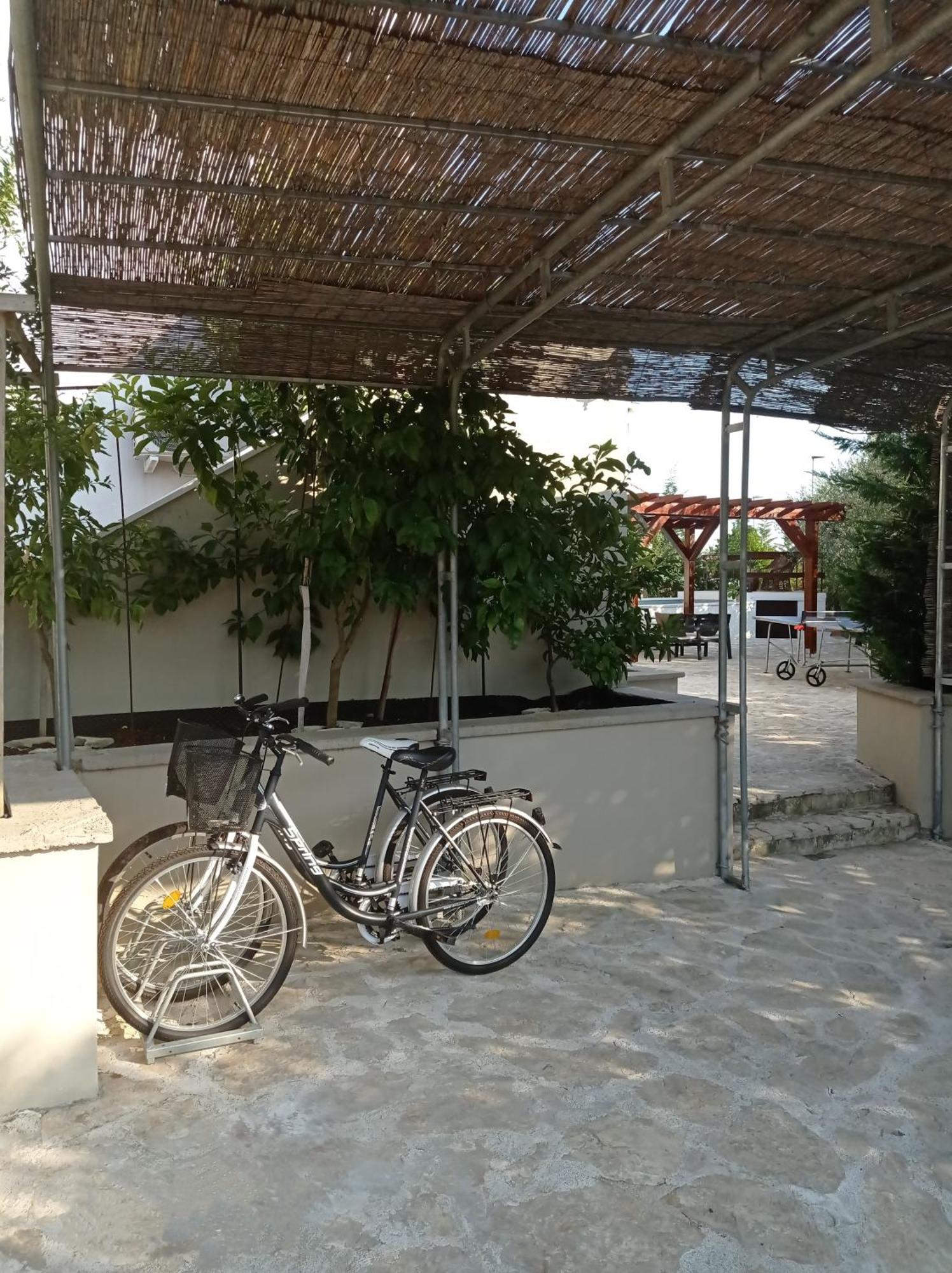 Villa Niko With Private Swimming Pool Zadar Ngoại thất bức ảnh